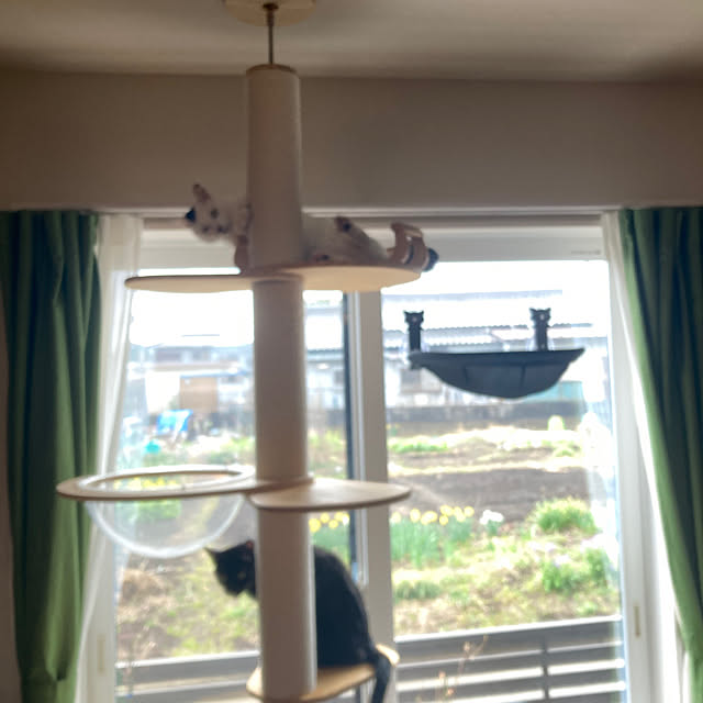 ma.さんの実例写真