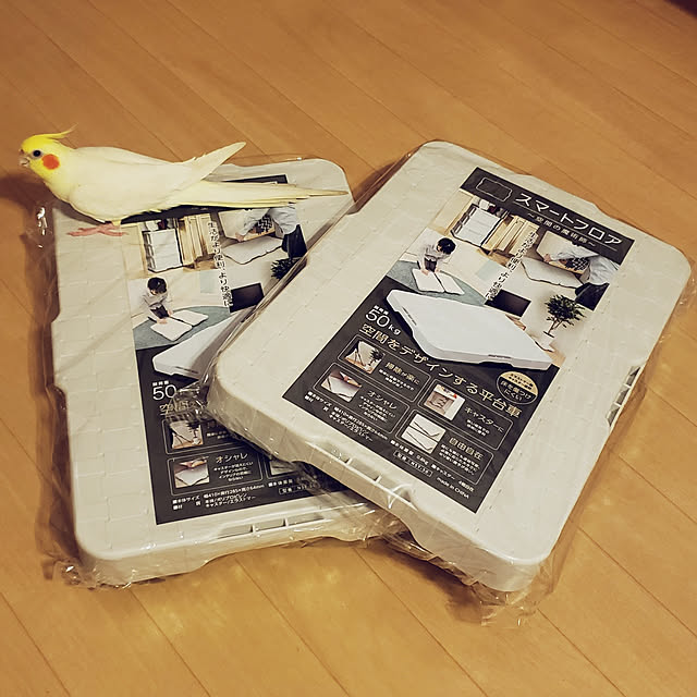 ruchicoccoさんの実例写真