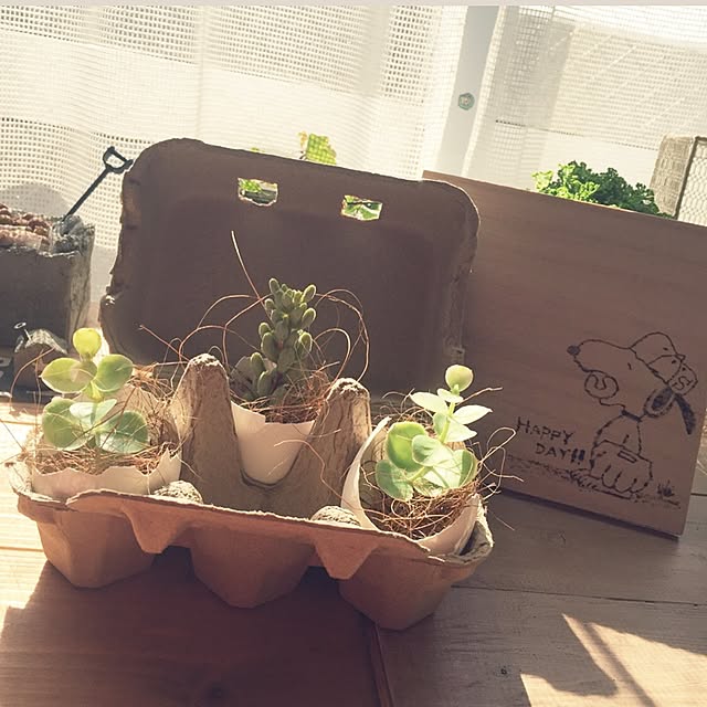ram_mamaさんの実例写真