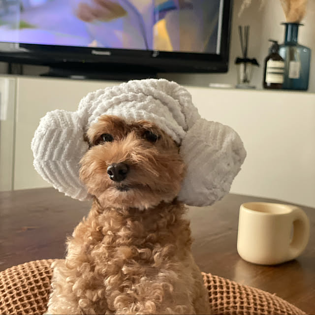 mococoさんの実例写真