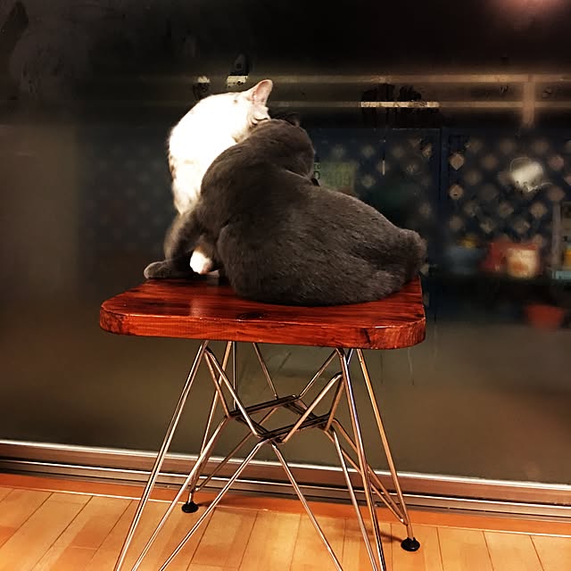 Shojiさんの実例写真