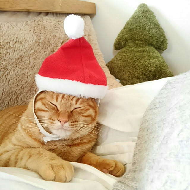 mayutan.さんの実例写真