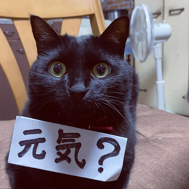 you-goさんの実例写真