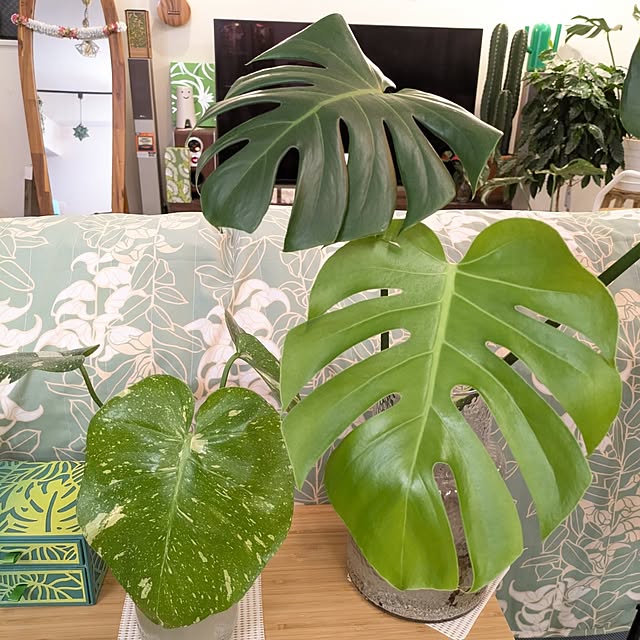 kolo92さんの部屋