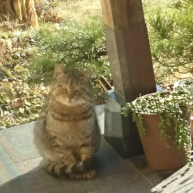 hiroさんの実例写真