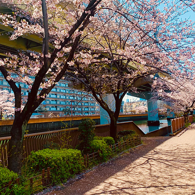 tututu0204さんの実例写真