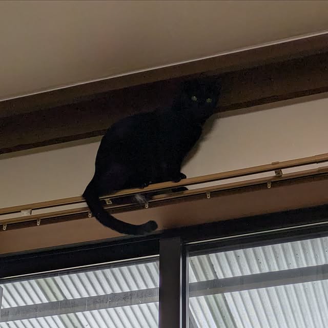 asaさんの部屋