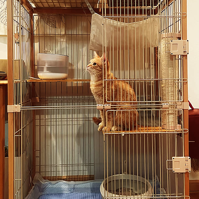 okogeさんの実例写真
