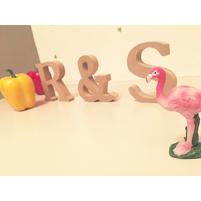 shioさんの実例写真