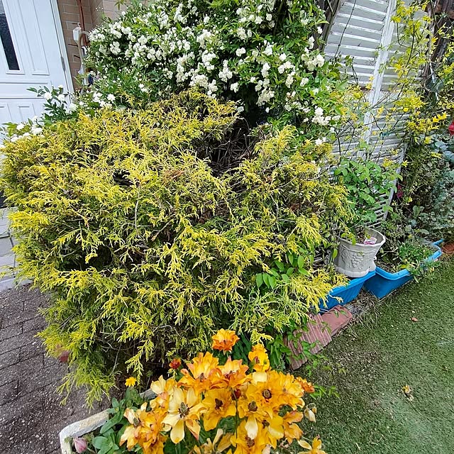 mind_komaさんの部屋