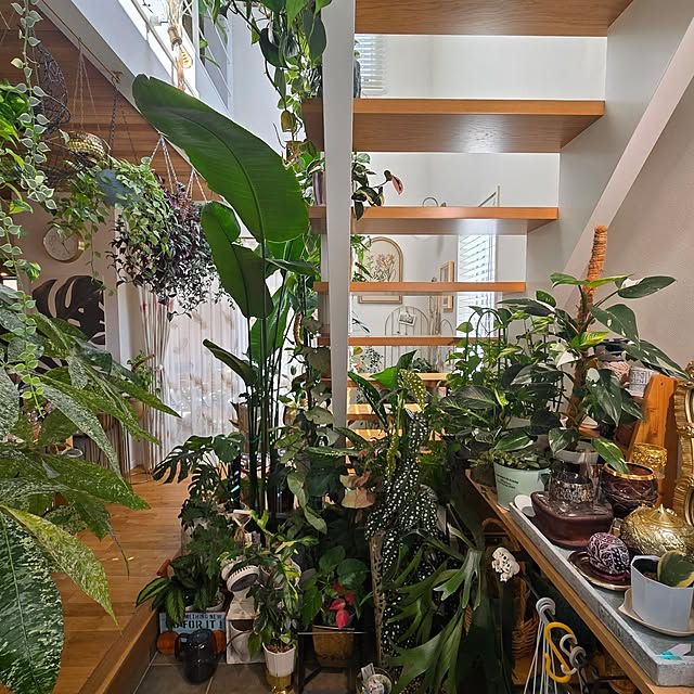 nonbiri_house_さんの部屋