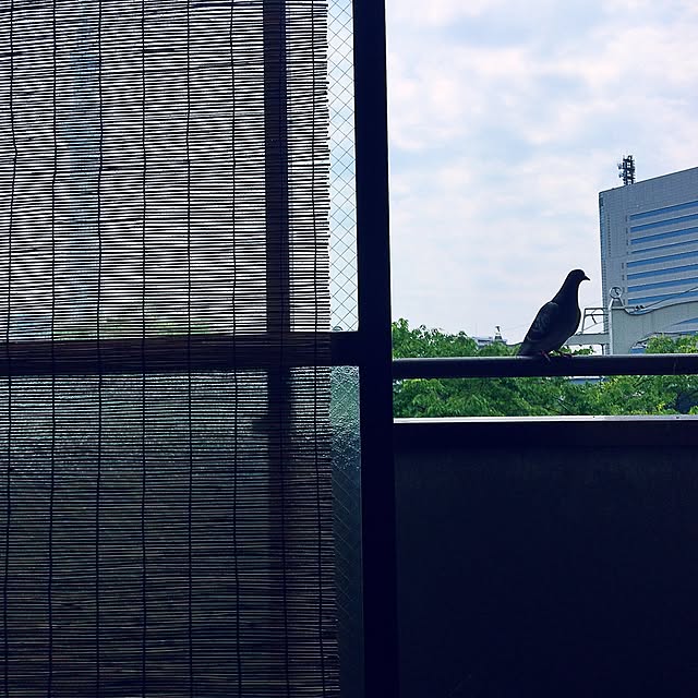 wanarchyさんの実例写真