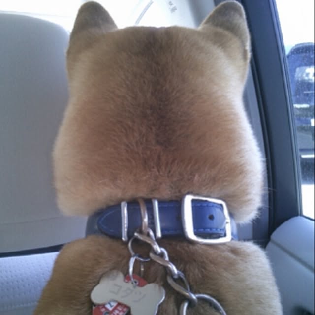 kotaさんの実例写真