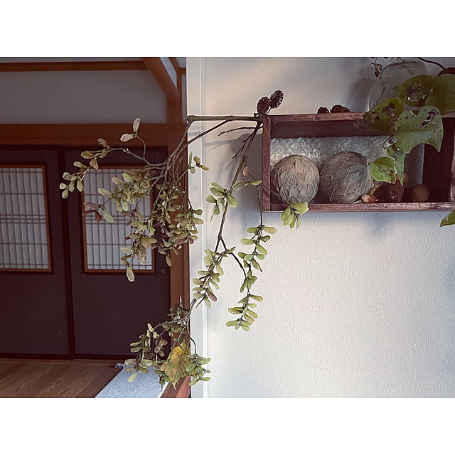 marucoさんの部屋