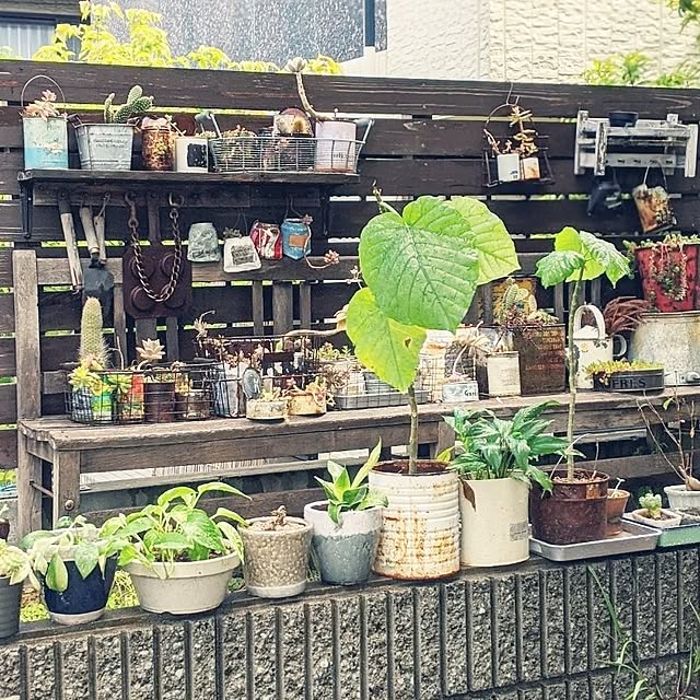 11wksさんの実例写真
