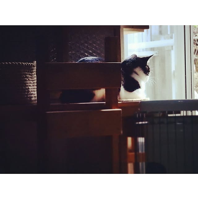 yukiさんの実例写真