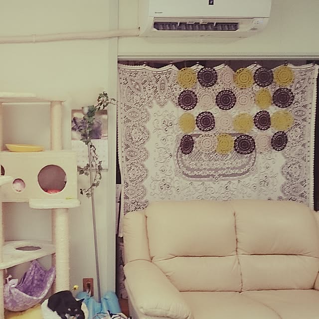 simaumaさんの実例写真