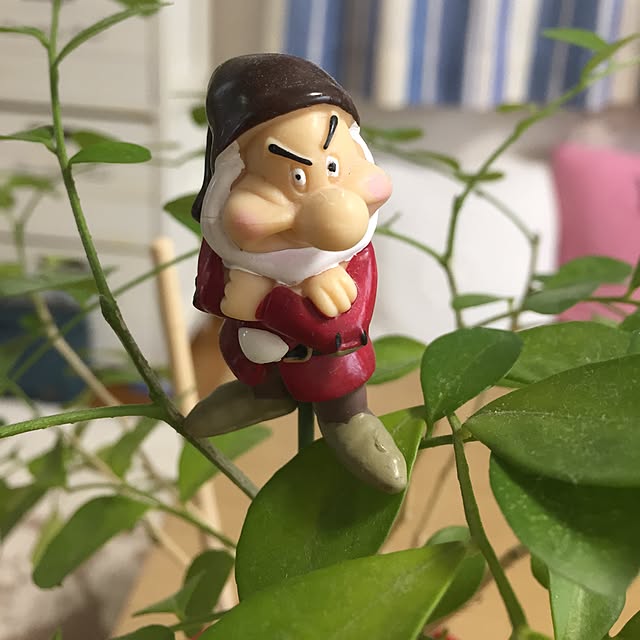 takakoさんの実例写真