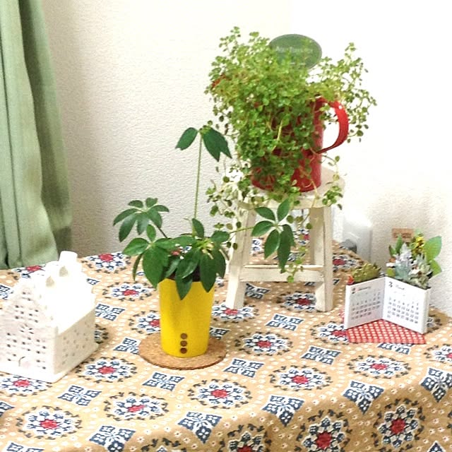 Tomoさんの実例写真