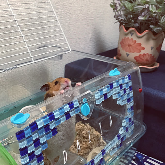 tanumaさんの実例写真