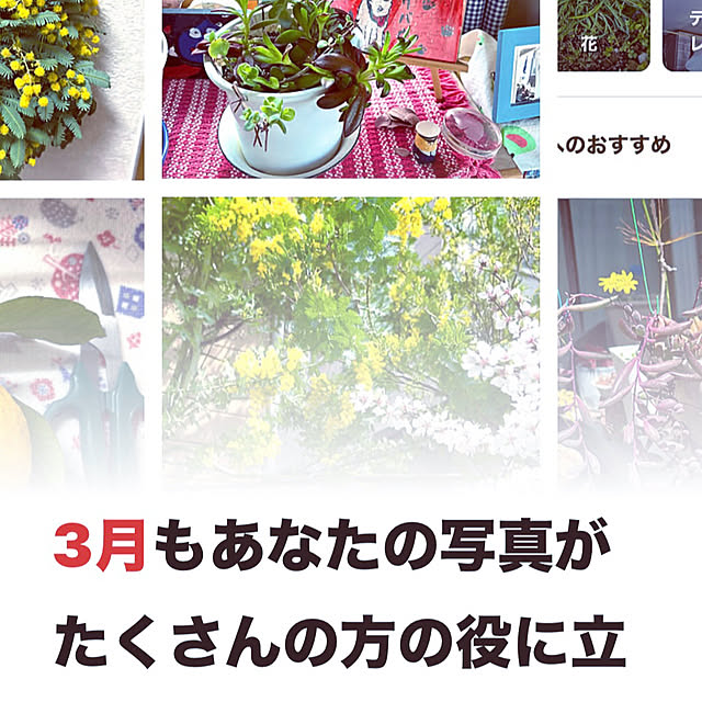takakoさんの実例写真