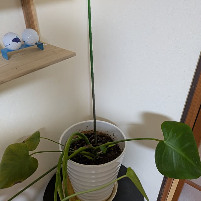 asaさんの部屋