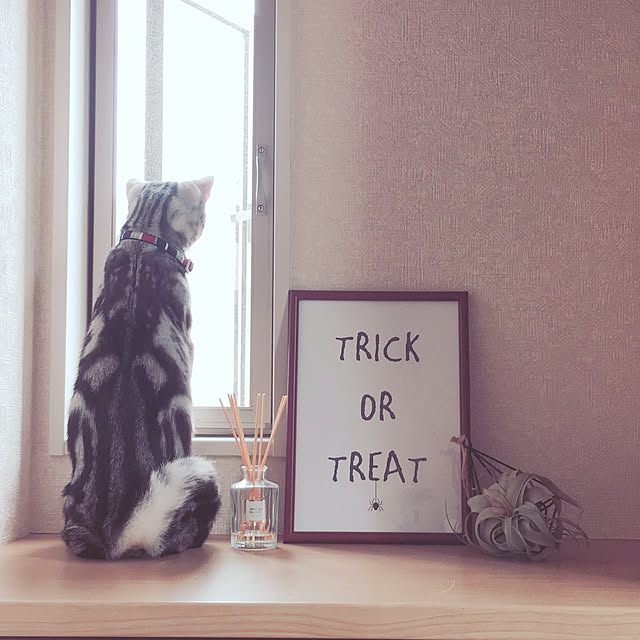 moonmamaさんの実例写真