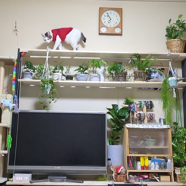 REI.DIYさんの実例写真