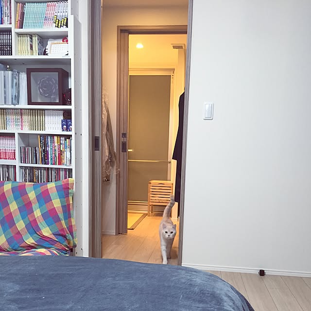 y.k.0123さんの実例写真