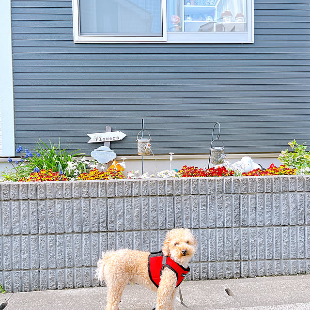 eriharuさんの実例写真