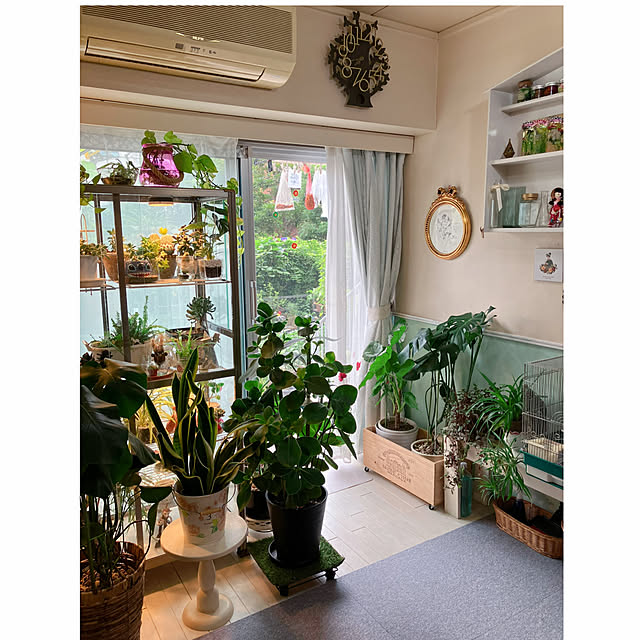 machakoさんの部屋