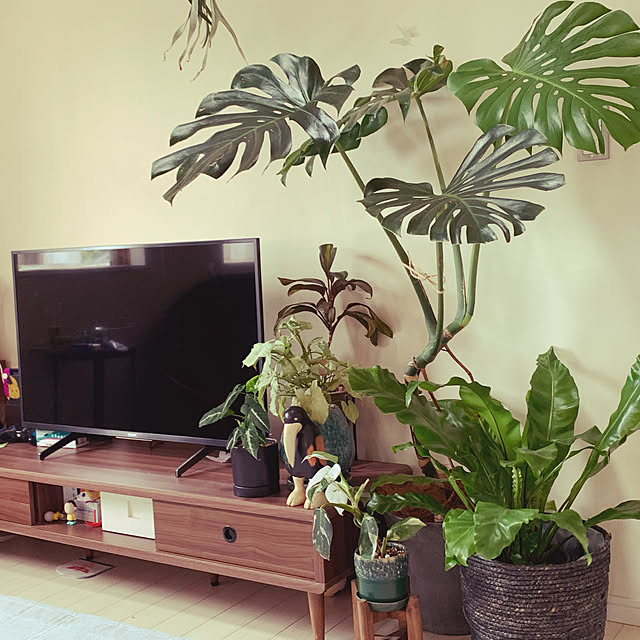 plantsholicさんの実例写真