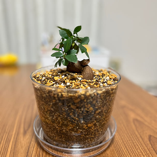 yuuさんの実例写真