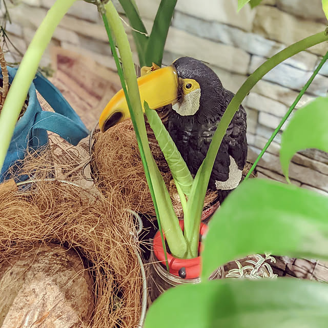 GINさんの実例写真