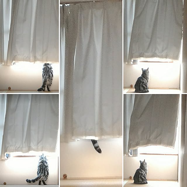HRMK1603さんの実例写真