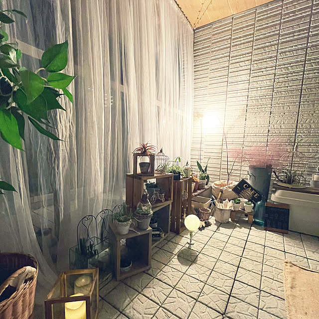 TCFJさんの部屋