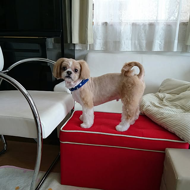 ronさんの実例写真