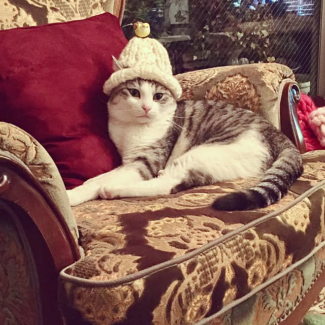 emmyyさんの実例写真