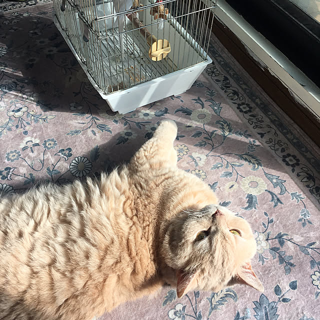 naokoさんの部屋
