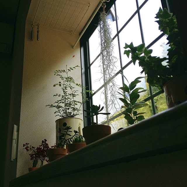 L.さんの実例写真