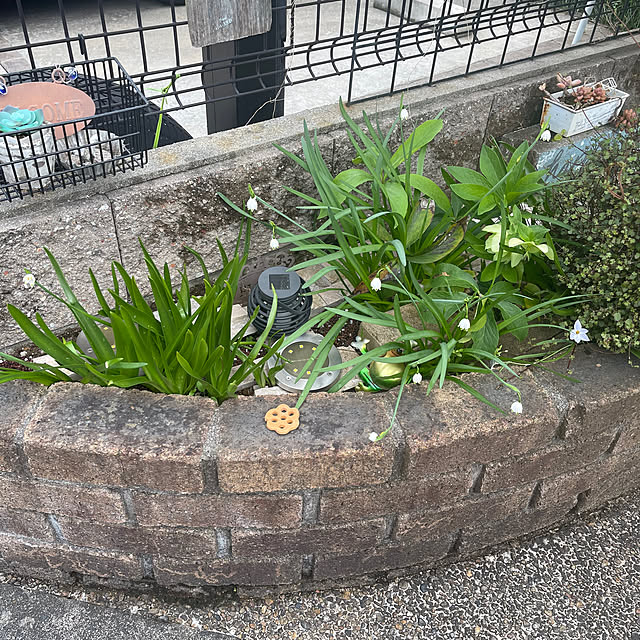 kikiさんの実例写真