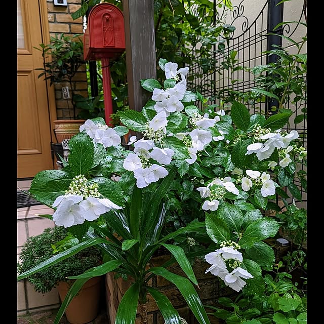 aromameさんの部屋