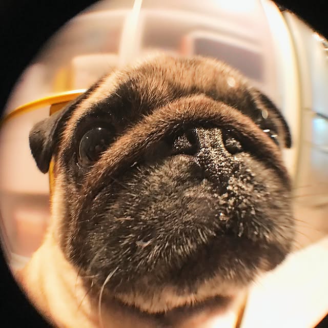 girls-tさんの実例写真