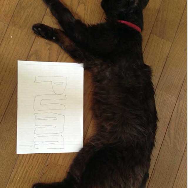 mobiri57さんの実例写真