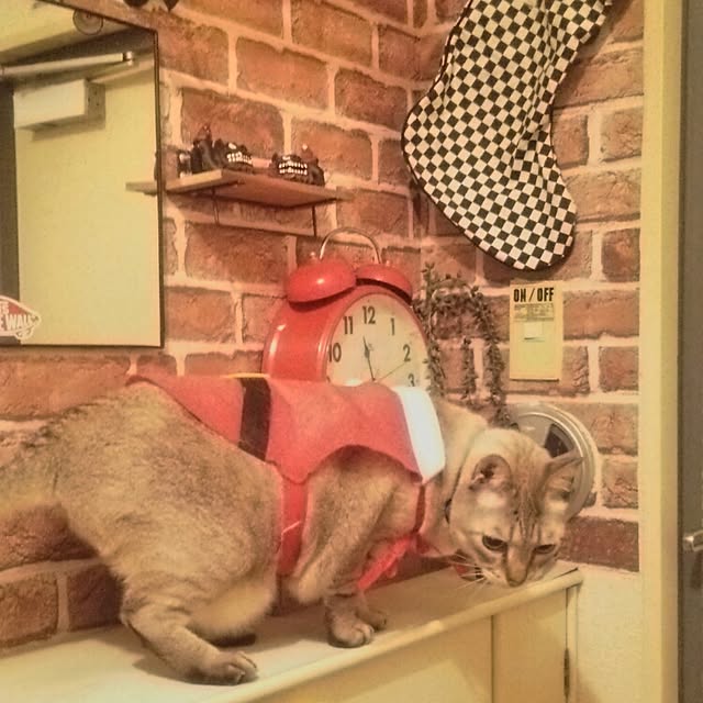 ano5926さんの実例写真
