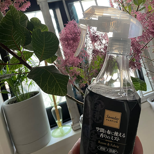 植物のある暮らし/スモークツリー/消臭除菌ミスト/Sawaday PARFUM/ファブリックミスト...などのインテリア実例 - 2023-05-18 12:00:04