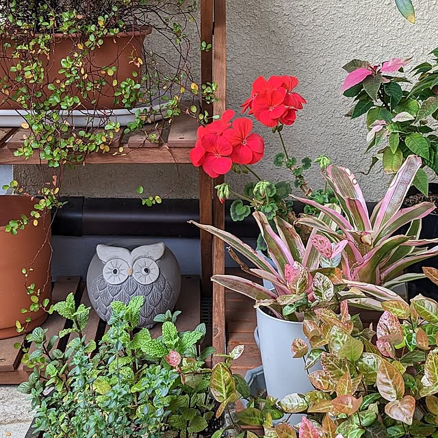 reeさんの実例写真