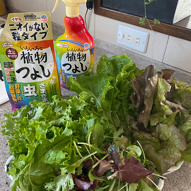usagiさんの実例写真