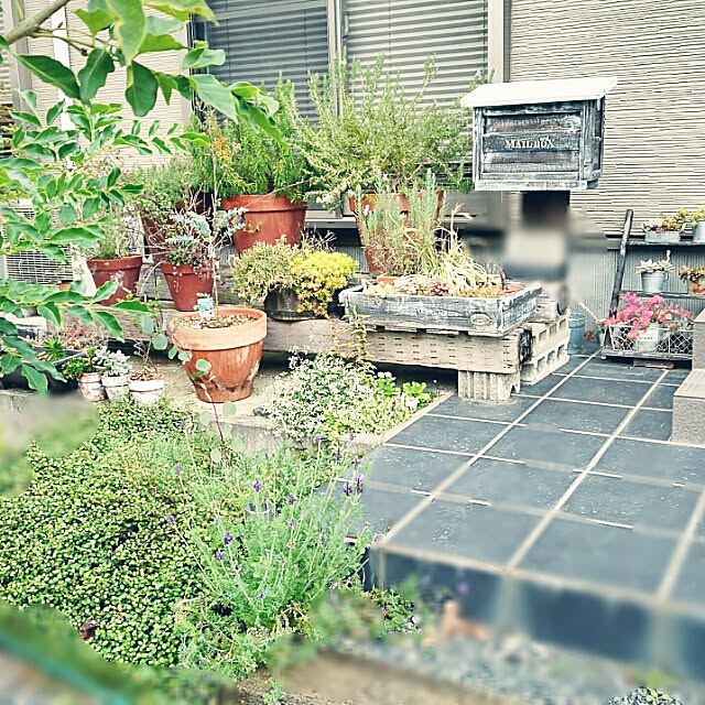 Yukaさんの実例写真