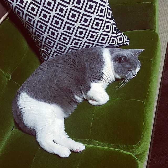 rhuさんの実例写真